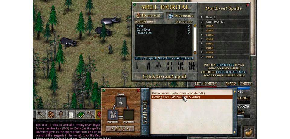 Eschalon Book II Captura de pantalla del juego